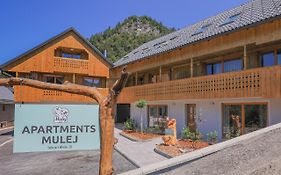 Apartments Mulej